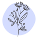 gfw-icon-milkweed