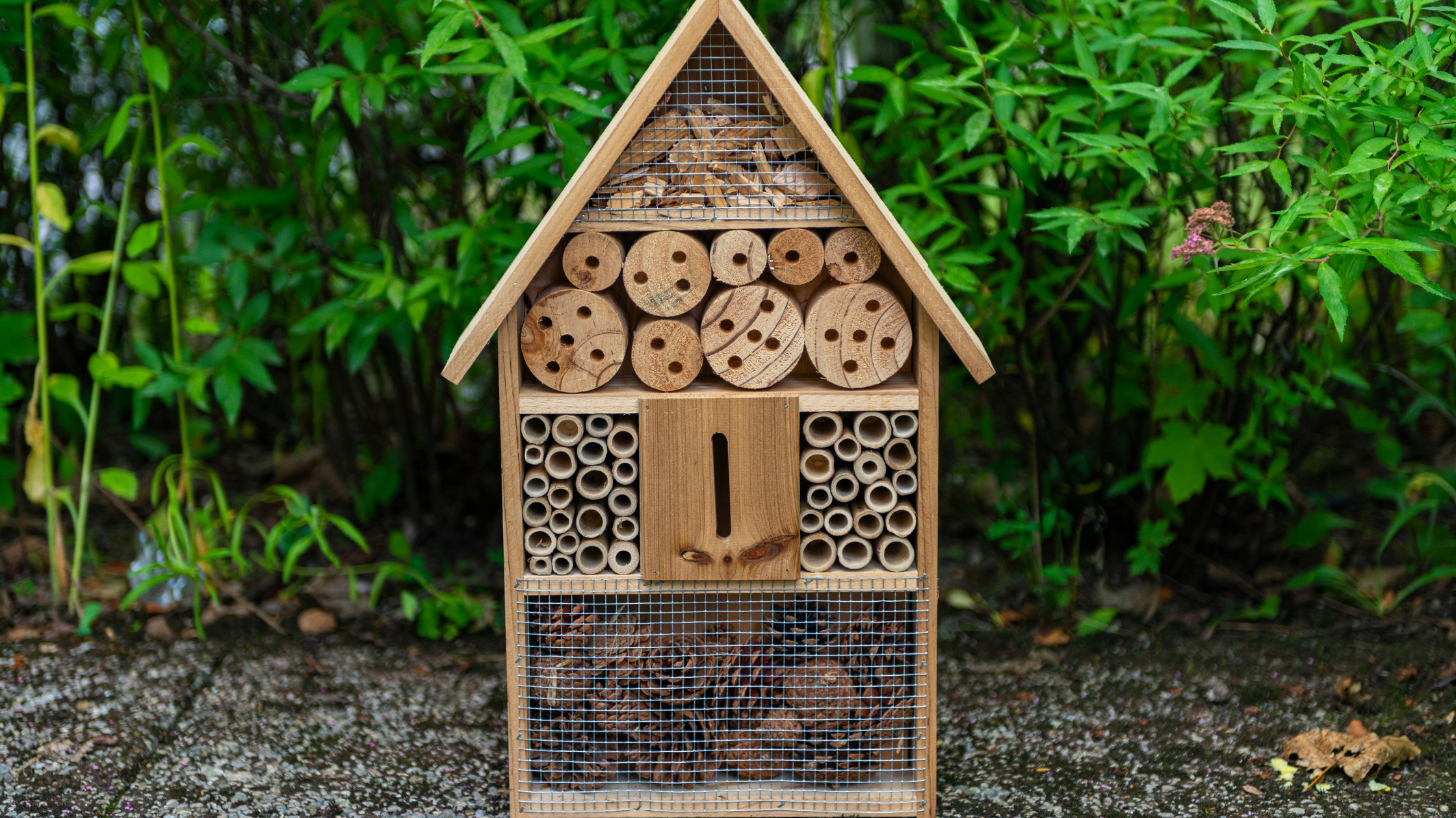 Bee hotel with tubes and nesting blocks