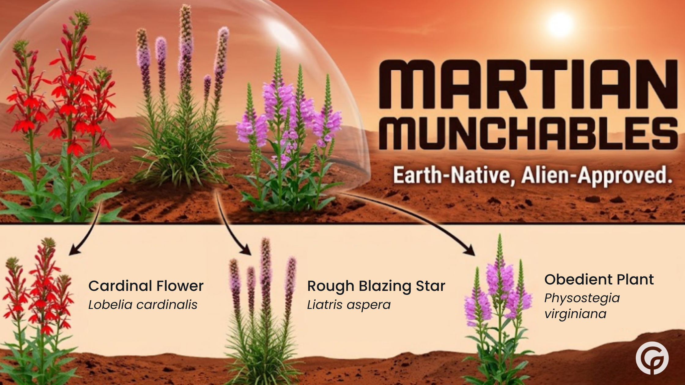 The Martian Munchables collection features Cardinal Flower, Rough Blazing Star, and Obedient Plant