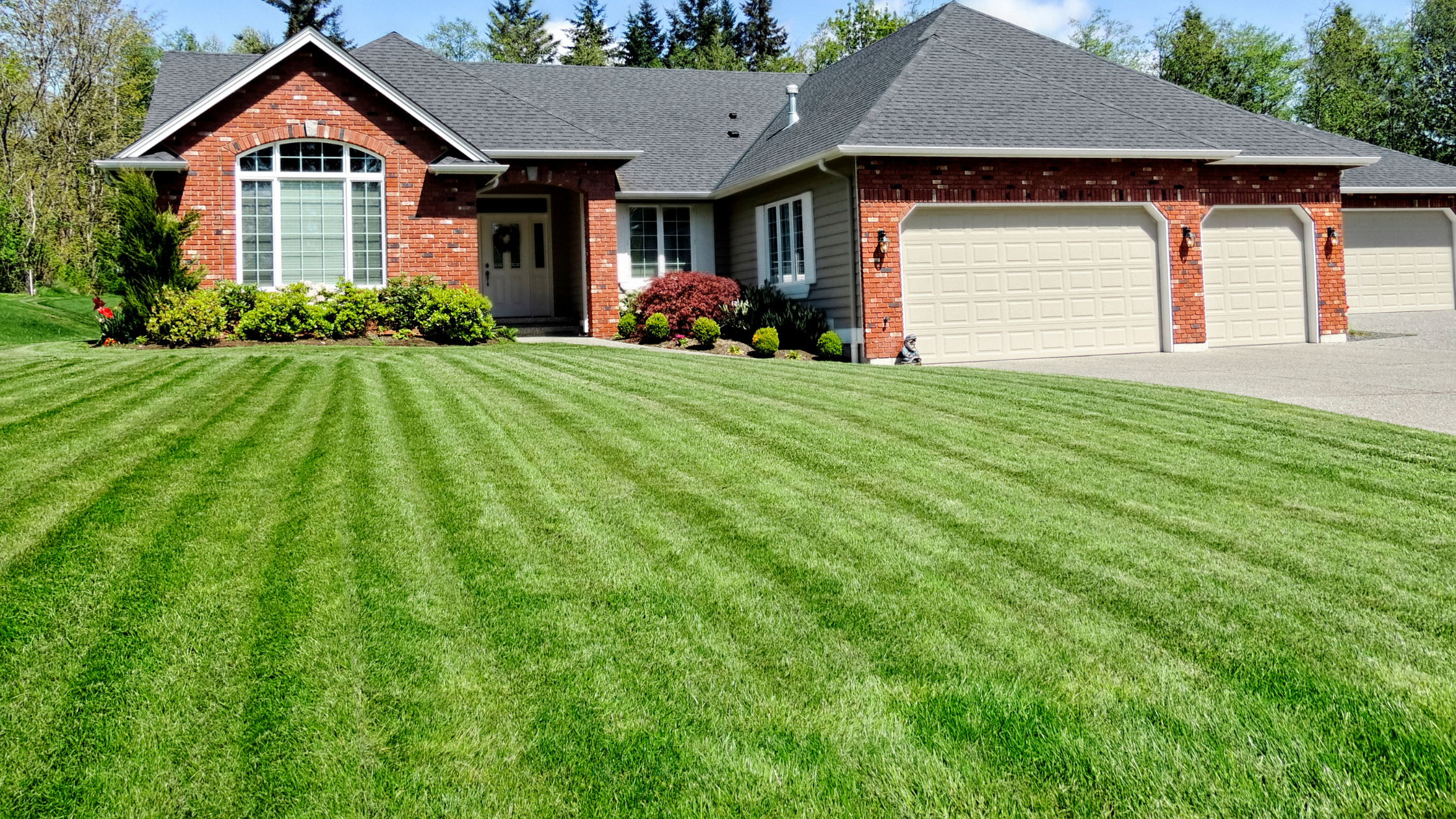 traditional American lawn