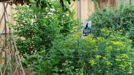 Certified Wildlife Habitat Sign in a Native Plant Garden_Amy Prentice