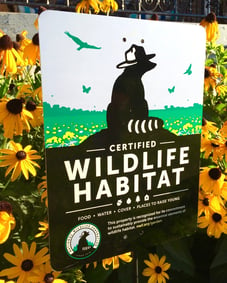 Certified Wildlife Habitat sign with yellow flowers