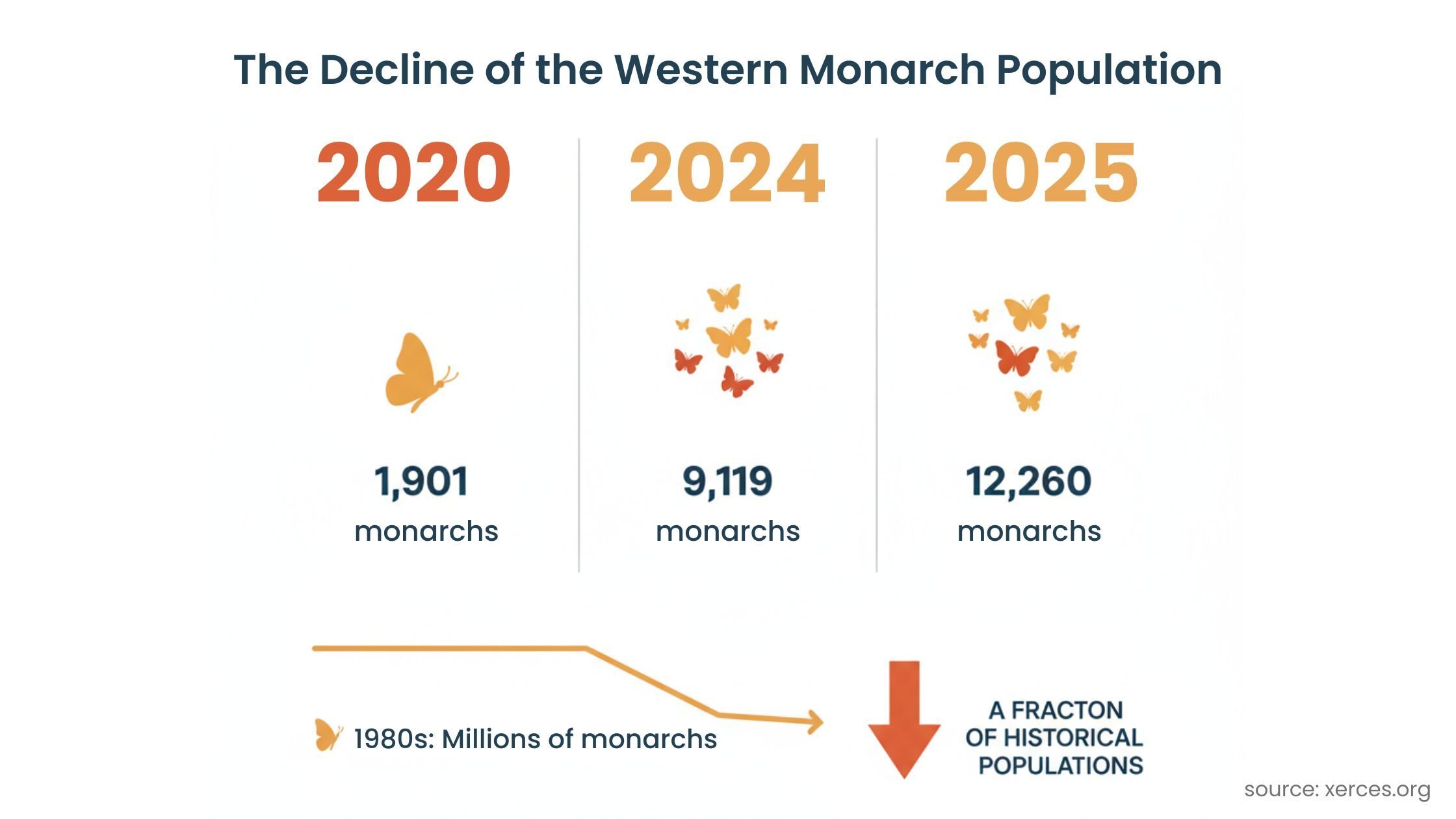 2025 Western Monarch Count
