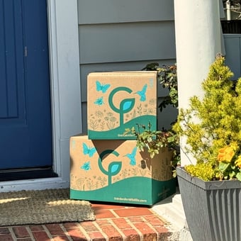 Packages on Doorstep