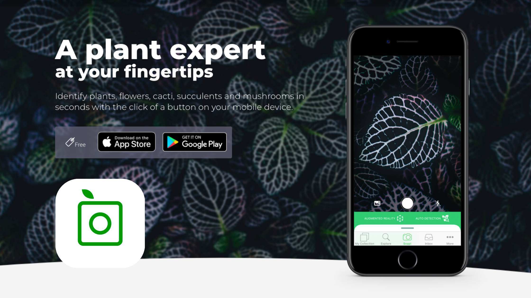 gfw-blog-plant-id-app-plantsnap