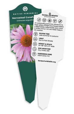 Plant Tag Example