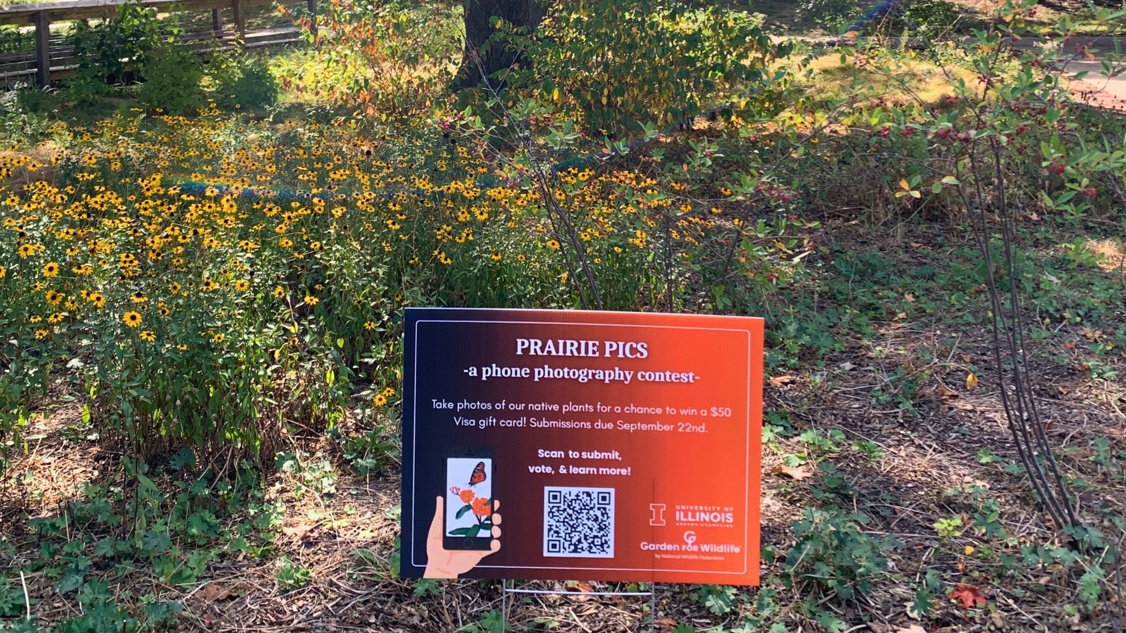 Prairie Pics Yard Sign in the Rain Garden