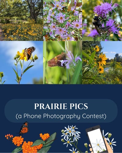 Prairie Pics Logo and Photo Submissions Collage