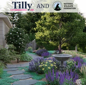 tillyxnwf-bird-bath-garden-design