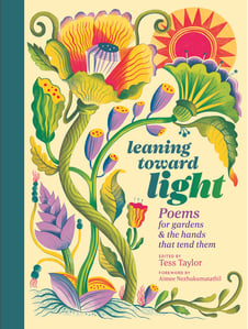 Leaning Towards Light book by Tess Taylor