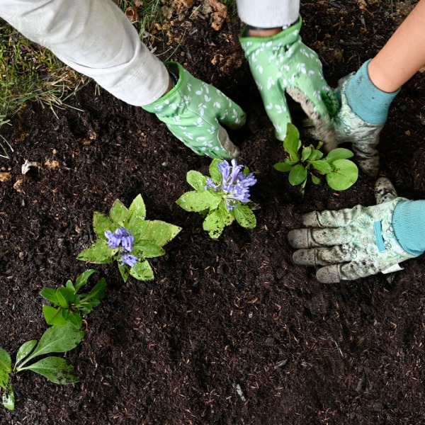 people-planting