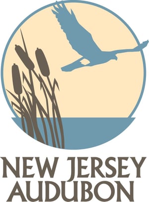 new-jersey-audubon