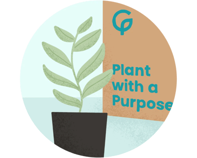 illustration of a native plant seedling at time of shipment with a box with tagline "Plant with a Purpose"