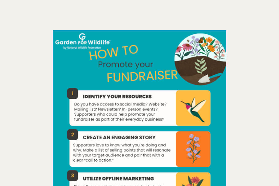 gfw-fundraising-tips-promotion