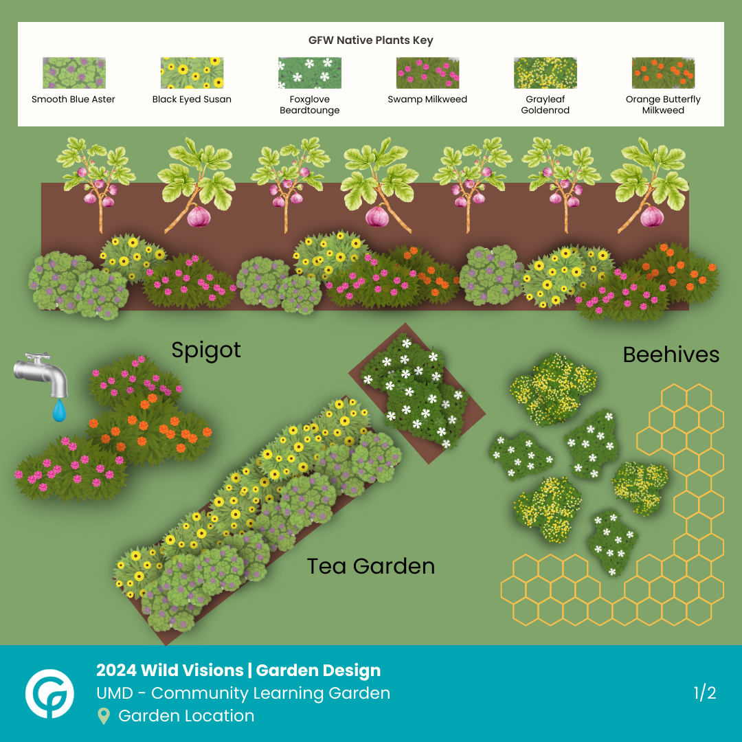 Community Learning Garden Native Plantings Design 