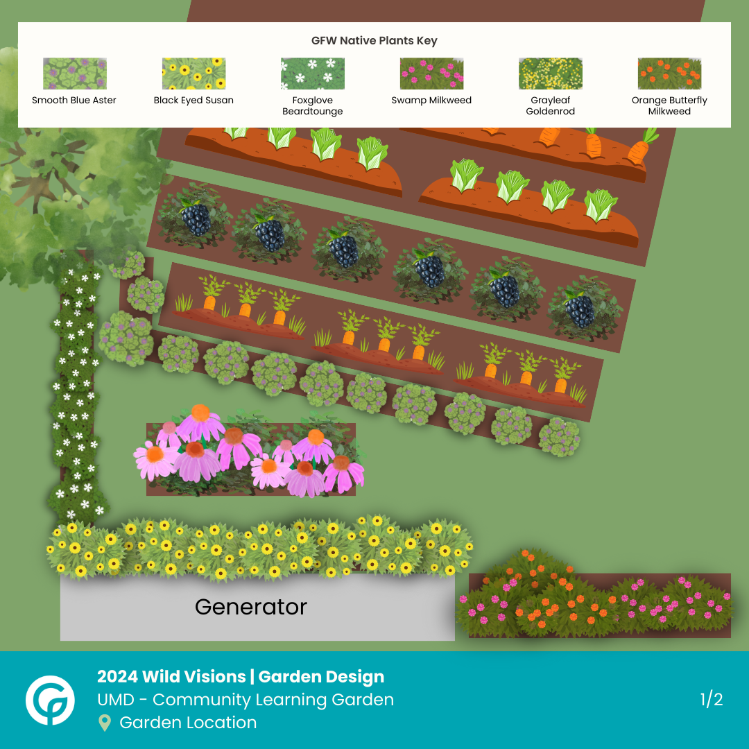 Community Learning Garden Native Planting Designs