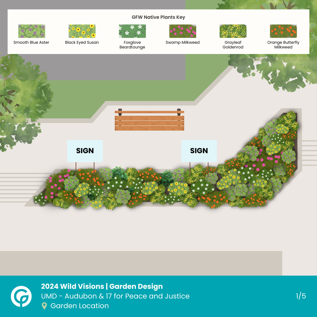 Image of a native garden design at University of Maryland