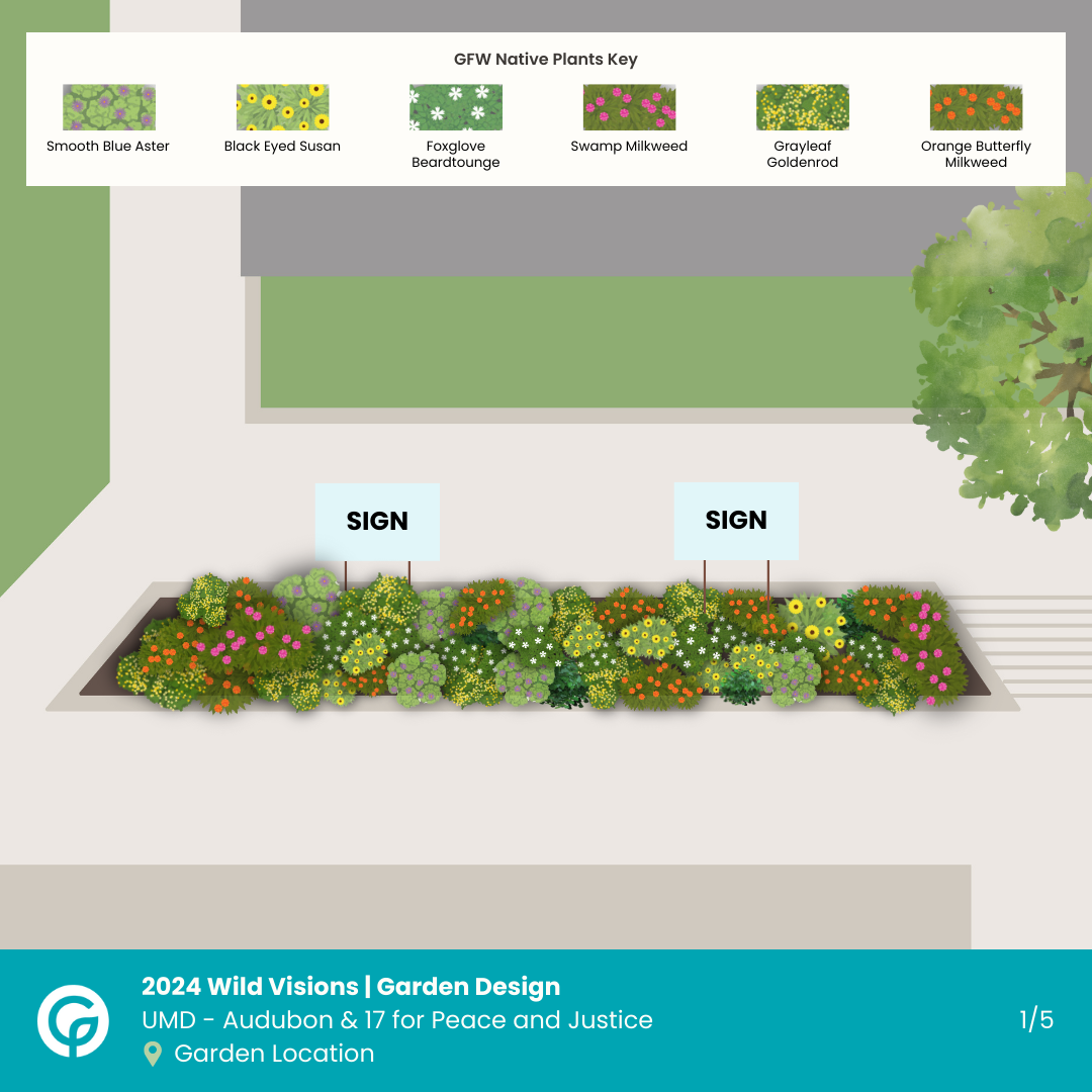 Image of a native garden design at University of Maryland