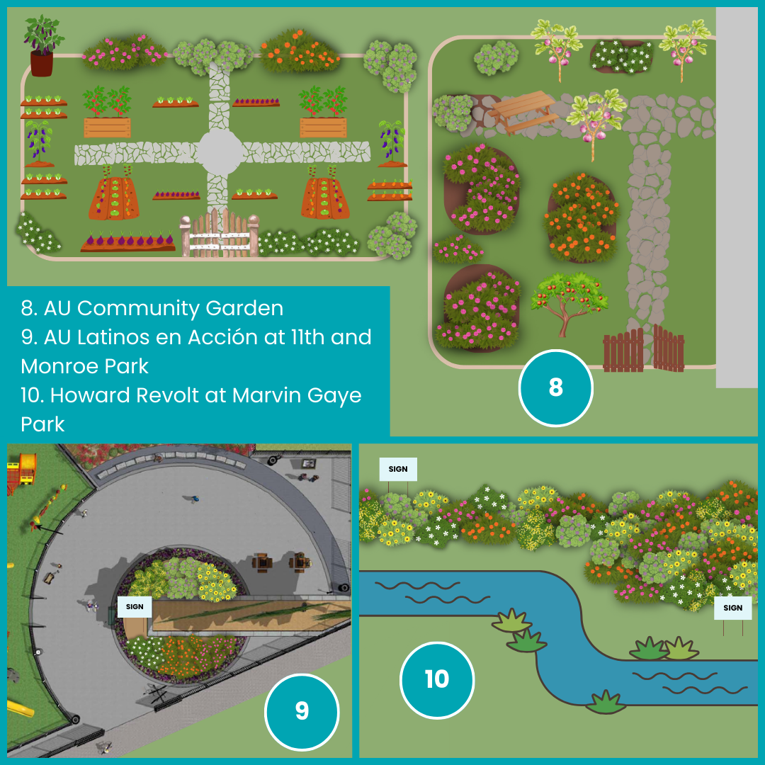 Wild visions habitat creation challenge garden design