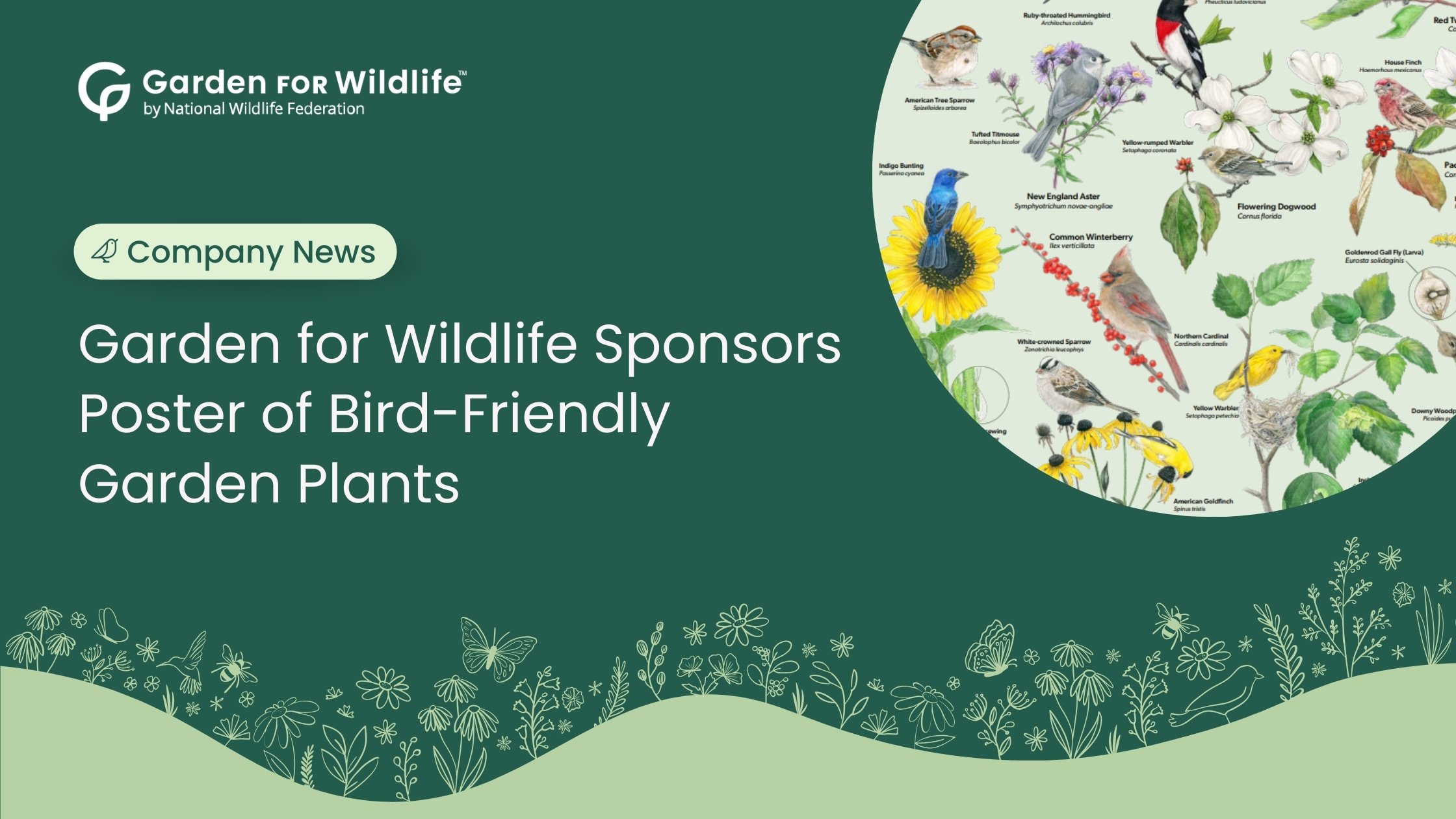 Garden for Wildlife Sponsors Poster of Bird-Friendly Garden Plants