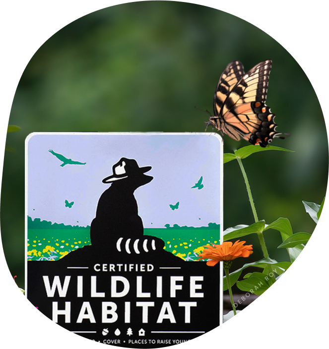 certified wildlife habitat sign with a swallowtail butterfly