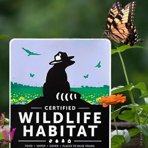 cwh-certified-wildlife-habitat