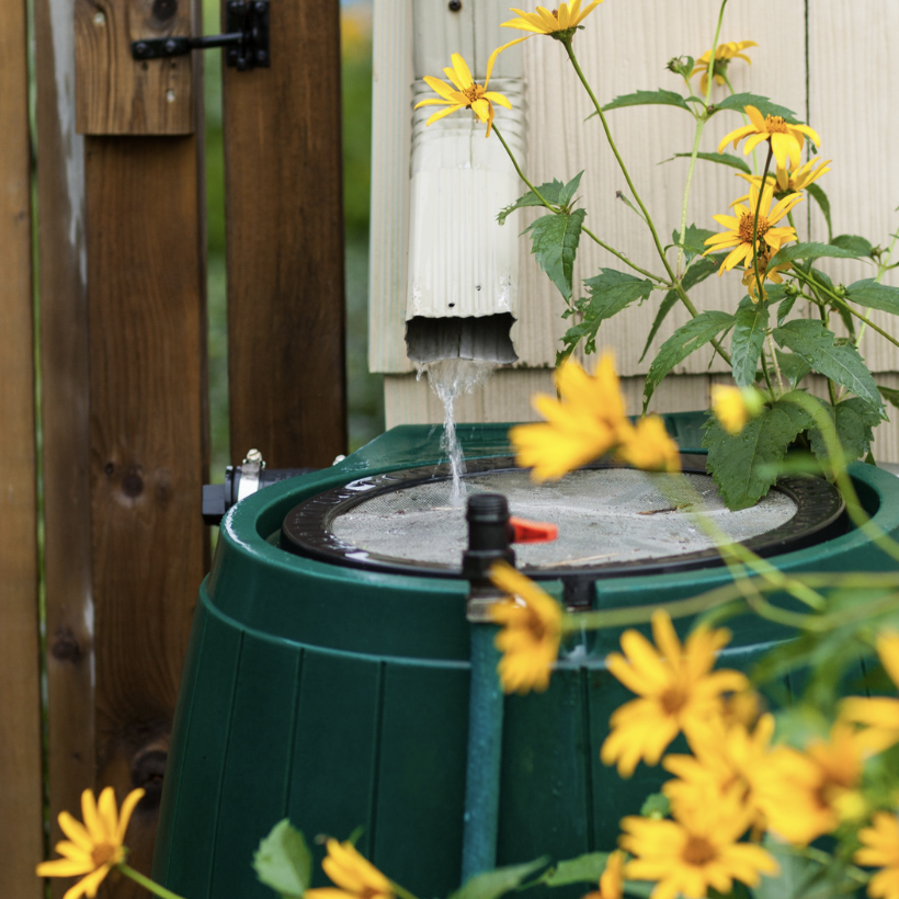 rain barrel water conservation for sustainable gardening