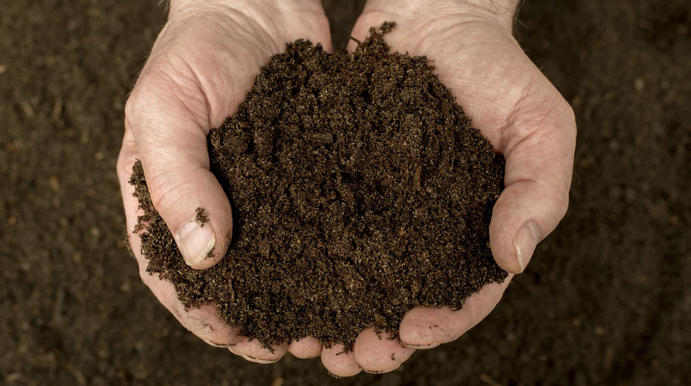 hands holding compost dirt soil