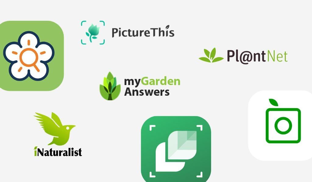 names and logos of plant identification apps